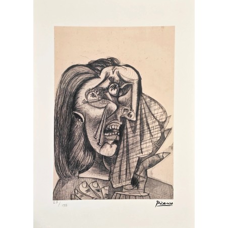 Pablo Picasso Lithograph Offset 199 Ex. Numbered 29.7 x 42 cm Signature Certificate