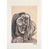 Pablo Picasso Lithograph Offset 199 Ex. Numbered 29.7 x 42 cm Signature Certificate