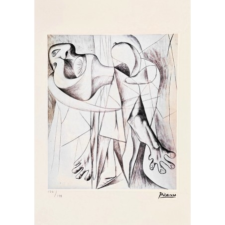 Pablo Picasso Lithograph Offset 199 Ex. Numbered 29.7 x 42 cm Signature Certificate