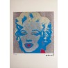 Andy Warhol Lithograph Offset 199 Ex. Numbered 29.7 x 42 cm Signature Certificate