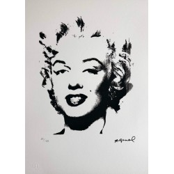 Andy Warhol Lithograph Offset 199 Ex. Numbered 29.7 x 42 cm Signature Certificate