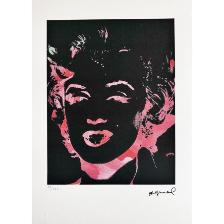 Andy Warhol Lithograph Offset 199 Ex. Numbered 29.7 x 42 cm Signature Certificate