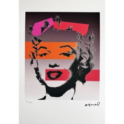 Andy Warhol Lithograph Offset 199 Ex. Numbered 29.7 x 42 cm Signature Certificate