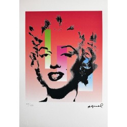 Andy Warhol Lithograph Offset 199 Ex. Numbered 29.7 x 42 cm Signature Certificate