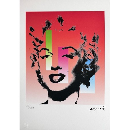 Andy Warhol Lithograph Offset 199 Ex. Numbered 29.7 x 42 cm Signature Certificate