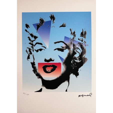 Andy Warhol Lithograph Offset 199 Ex. Numbered 29.7 x 42 cm Signature Certificate