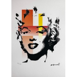 Andy Warhol Lithograph Offset 199 Ex. Numbered 29.7 x 42 cm Signature Certificate